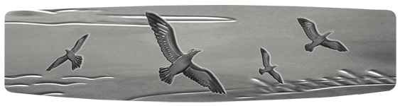 111 Birds Silver